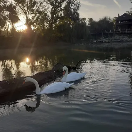 Vikendica Dunav *