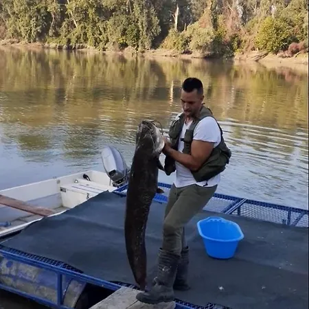 Vikendica Dunav * Novi Sad