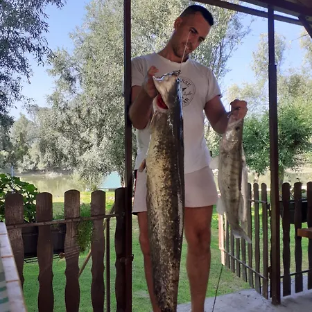 Vikendica Dunav Semesterbostad Novi Sad