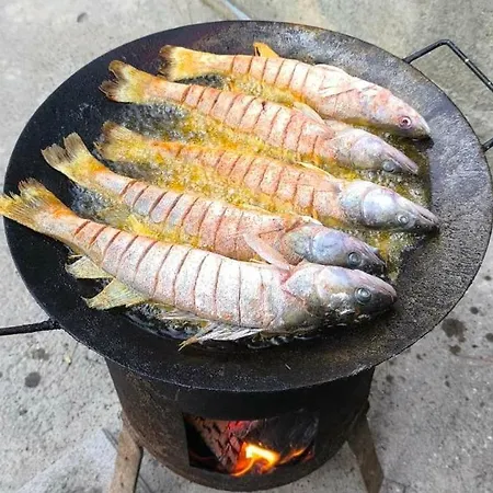 Vikendica Dunav *