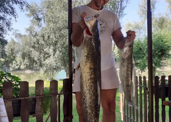 Vikendica Dunav Casa de Férias Novi Sad